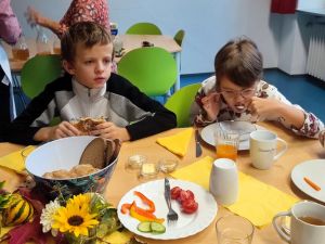 20240924 SON SFZ RES Probe.jpg